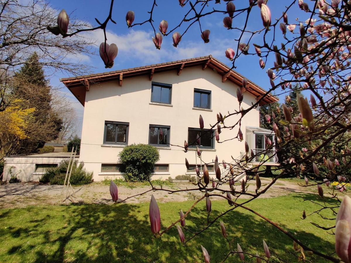 Apartament Les Pics Verts Annecy Zewnętrze zdjęcie